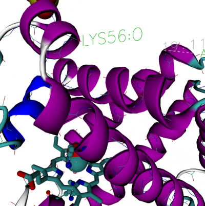 Visual Molecular Dynamics